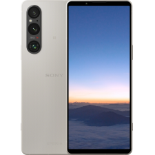 Sony Xperia 1 V 12/512Gb Global Серебристый